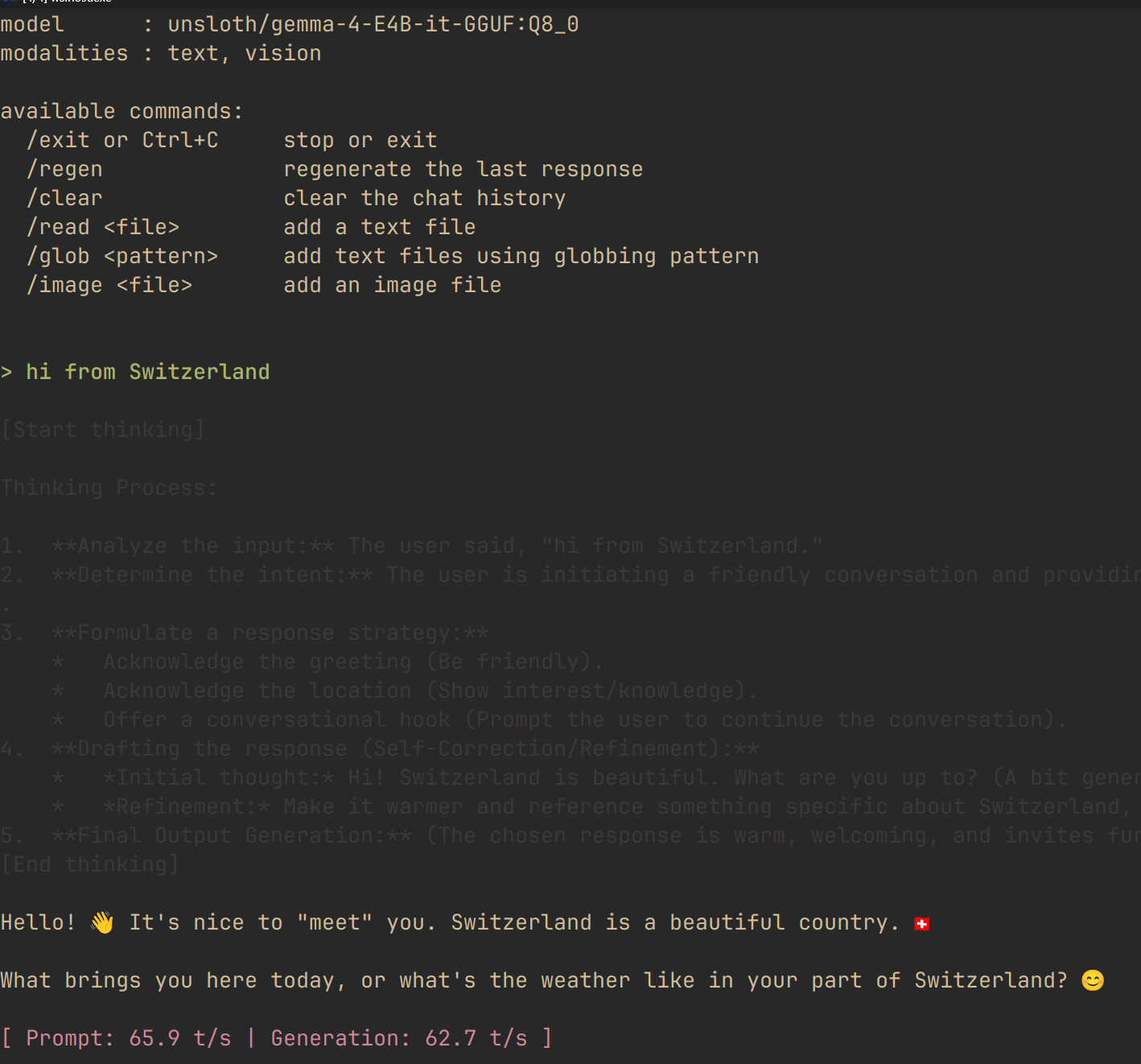 Example of chatting locally with Gemma 4 E4B through llama.cpp
