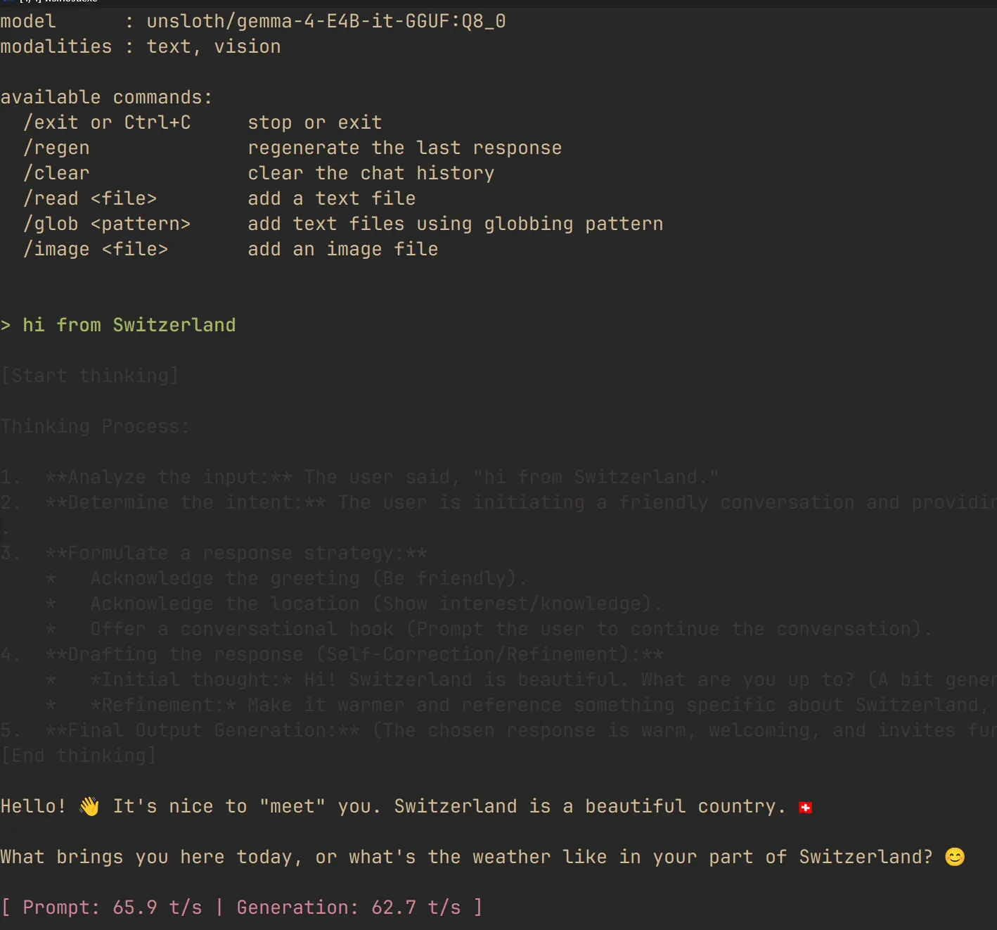 Example of chatting locally with Gemma 4 E4B through llama.cpp